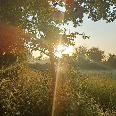 Bed and Breakfast Memory 44' Auxais