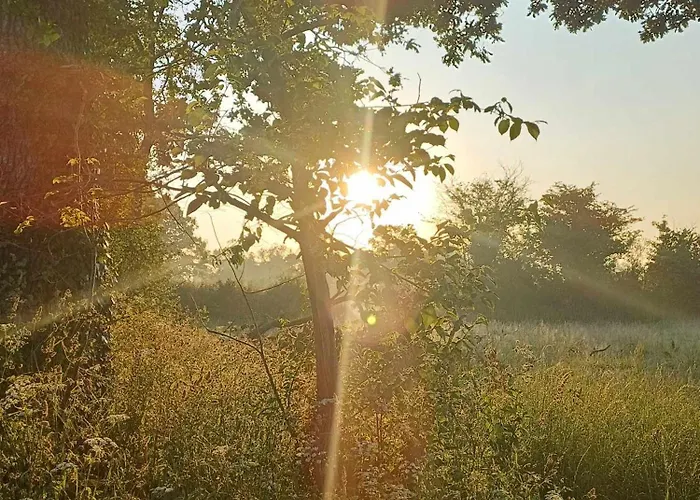 Bed & Breakfast Memory 44' Auxais